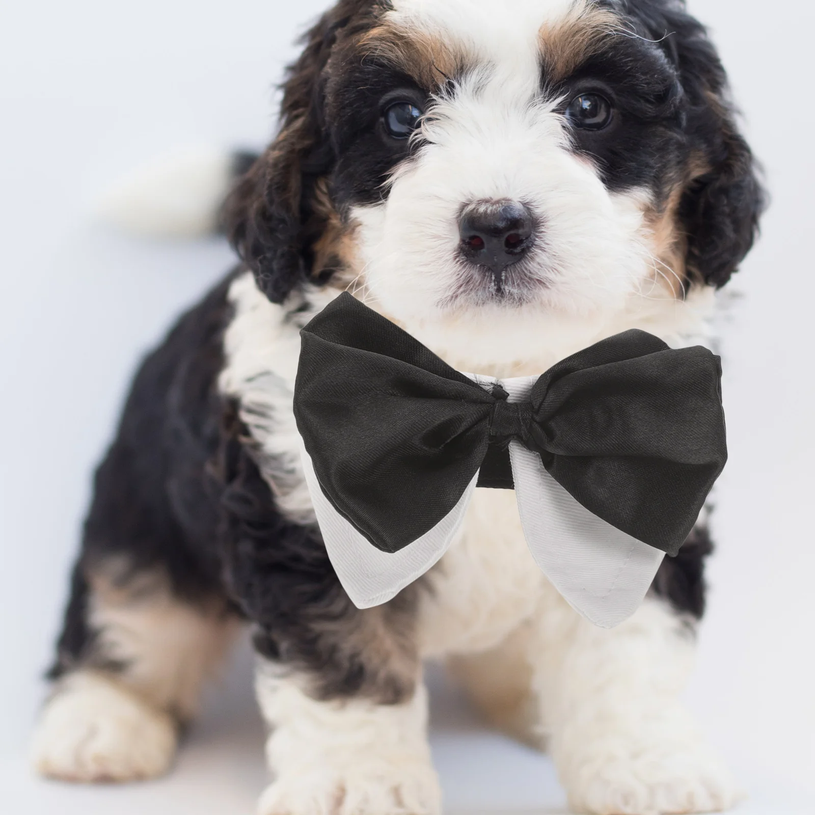 

Adjustable Pet Bow Tie Accessories Skin-Friendly Soft Lightweight Wear-Resistant Easy On/Off Hook Loop Comfortable for Male