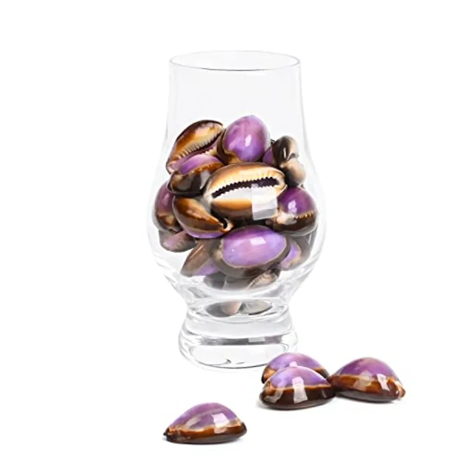 

20PCS Sea Shells Purple Beach Shells for Crafts Vase Filler Wedding Decorations Fish Tank Candle Making Party and Table Decor R