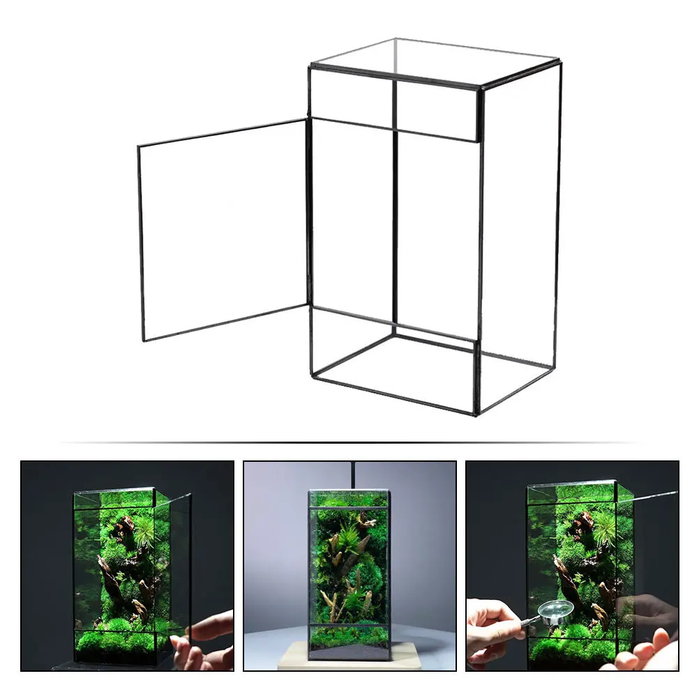 

Clear Glass Terrarium Box Micro Landscape DIY Holder Natural Moss Garden Display for Home Office Shelf Decor Plant Terrarium