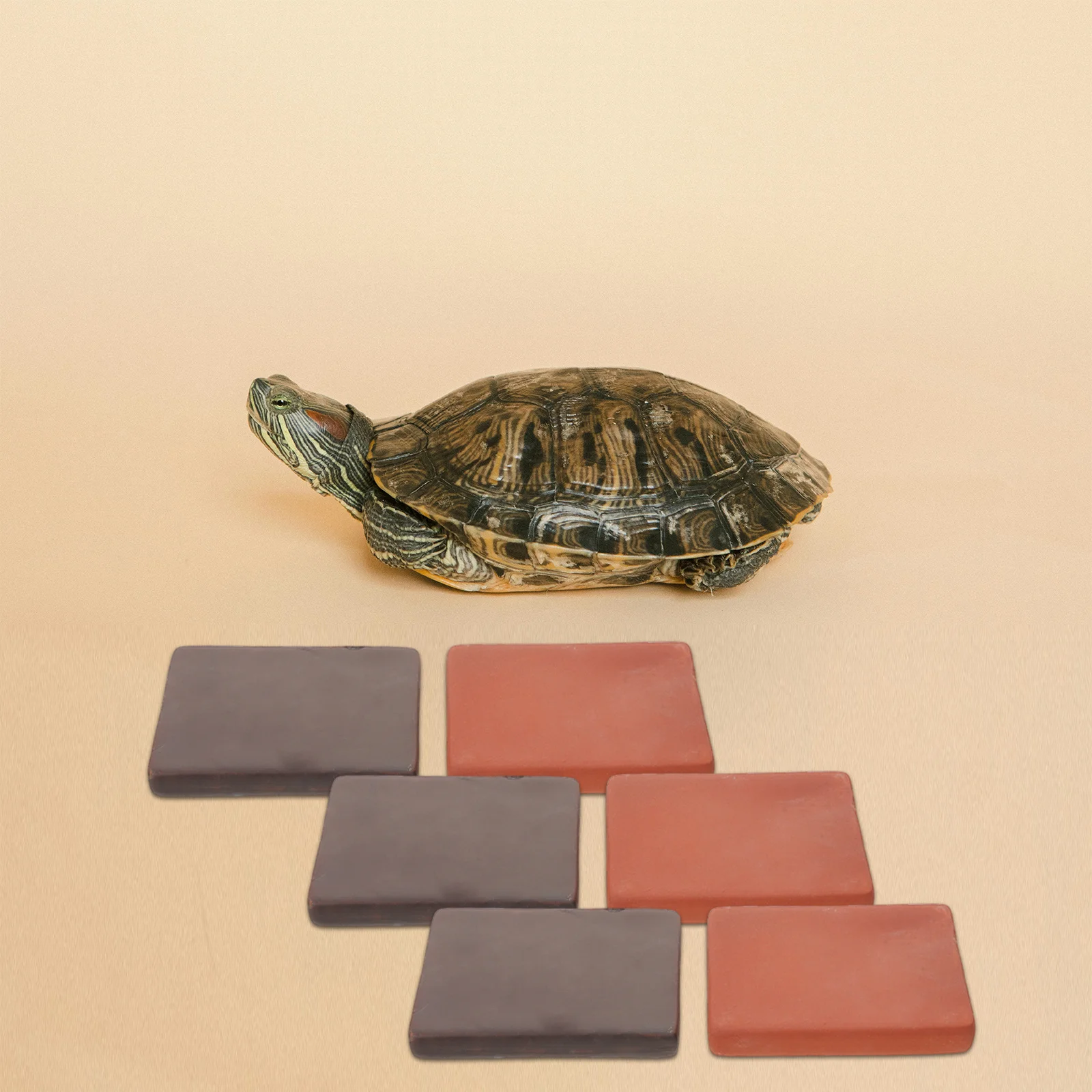 

6Pcs Burnt Clay Handmade Turtle Tank Ceramic Bricks Clay Durable Reptile Terrarium Landscape Blocks Turtle Habitat