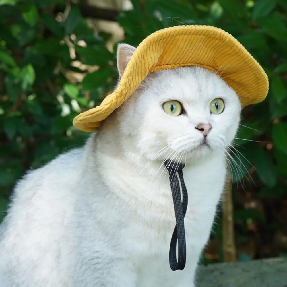 Adjustable Pet Bucket Hat with Ear Holes - Breathable Sun Protection Cap for Dogs & Cats