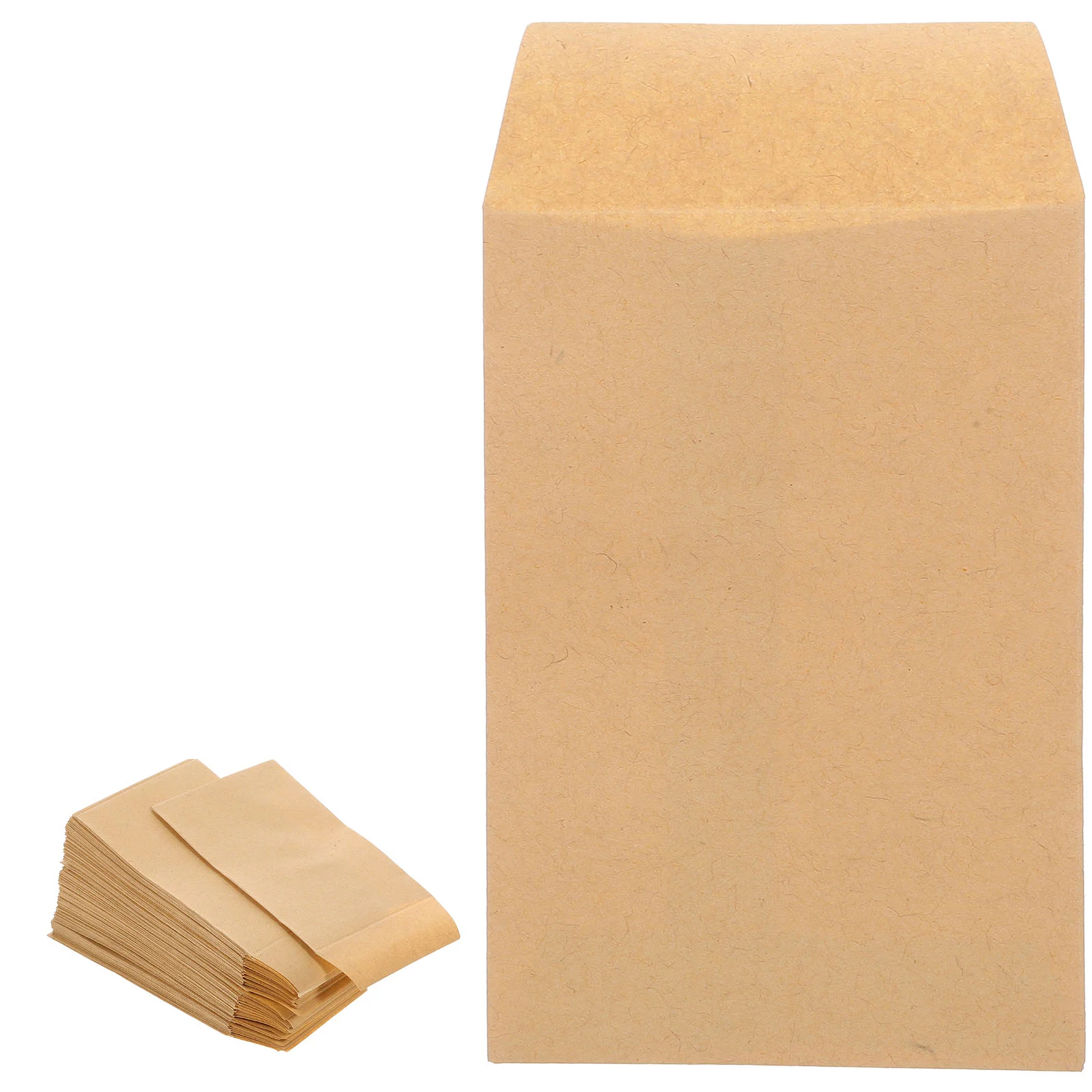 100 Pcs Seed Envelope Binders Blank Cards Envelopes for Money Bag Key Kraft Paper Saving Mini Baby Cash