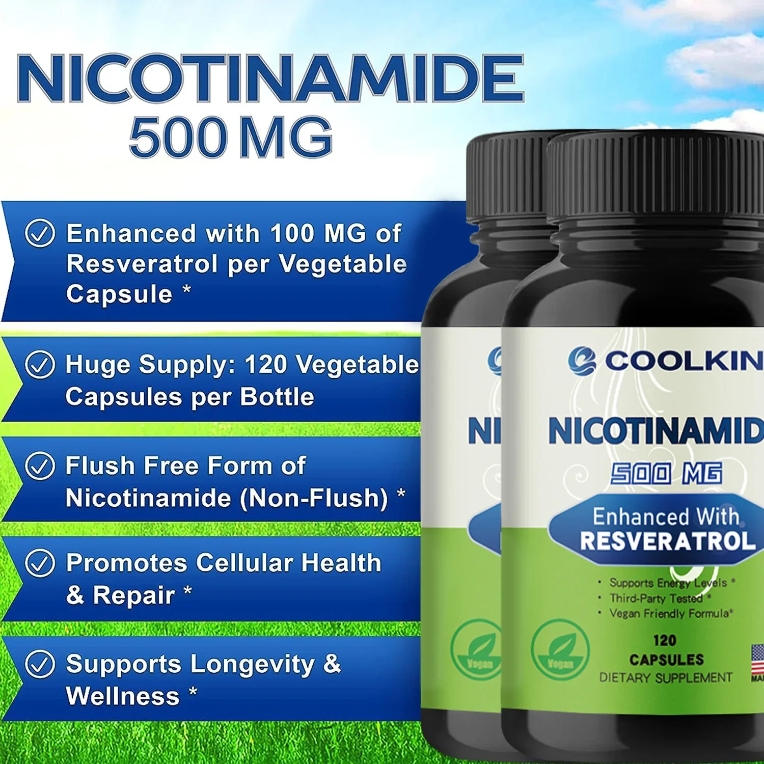 Nicotinamide 500mg - Whitening Skin, Anti-aging, Supporting NAD, Skin Cell Health