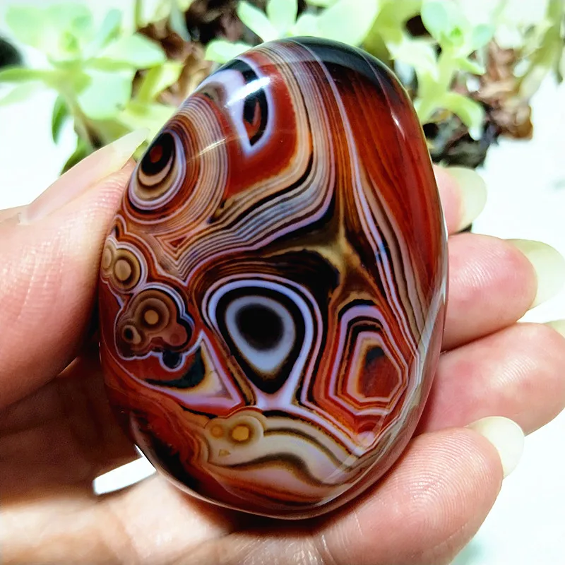 Crsytal naturel dentelle Sardonyx Agate palmier pierres méditation guérison spirituelle coeur Cure Feng Shui Crsytal gemme décoration de salle