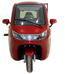 Hot Sale Electric Tricycle Two Seat Electric Scooter Three Wheel Scooter High Quality Factory