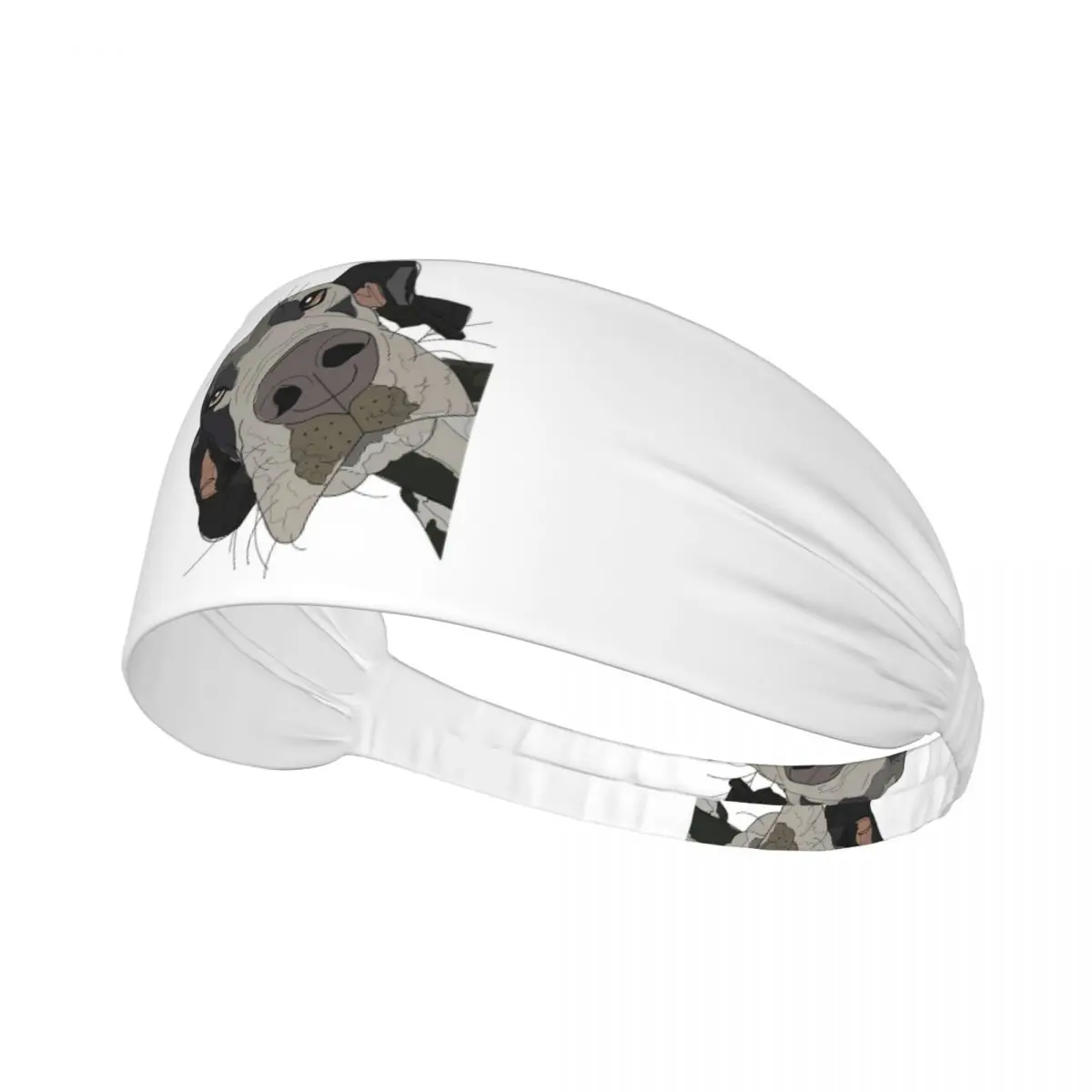 

Great Dane In Your Face Dog Men Women Headband Wicking Moisture Sports Sweatband for Gym Yoga Running