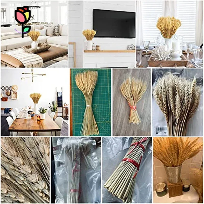 60Pcs Dried Flowers Natural Wheat Stalks Home Wedding Decor Artificial Flower Rabbit Tail Gem Grass Party Christmas Decoration