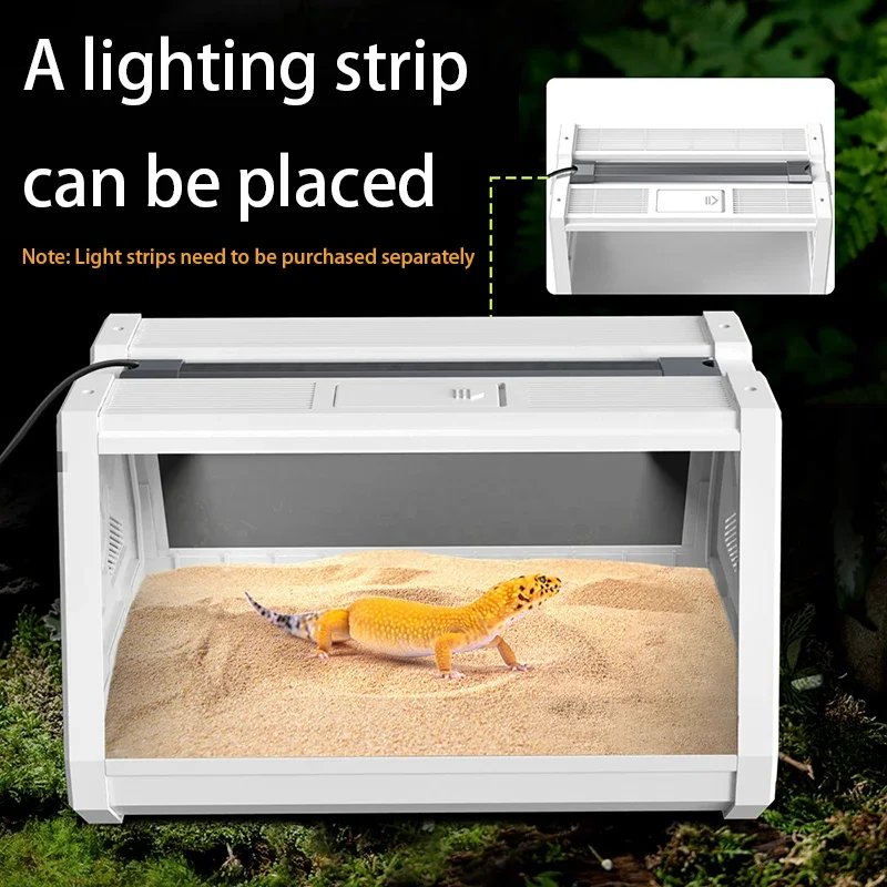 Reptile Terrarium Desktop Ecological Tank Escape-Proof Ventilated Habitat Breeding Box Mini Reptile Habitat for Gecko Snake Frog