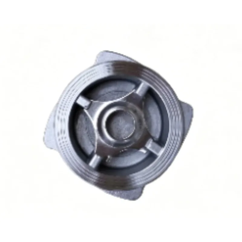 DCV2/DCV3 Check Valve, Disc Clamp Check Valve, Steam Check Valve
