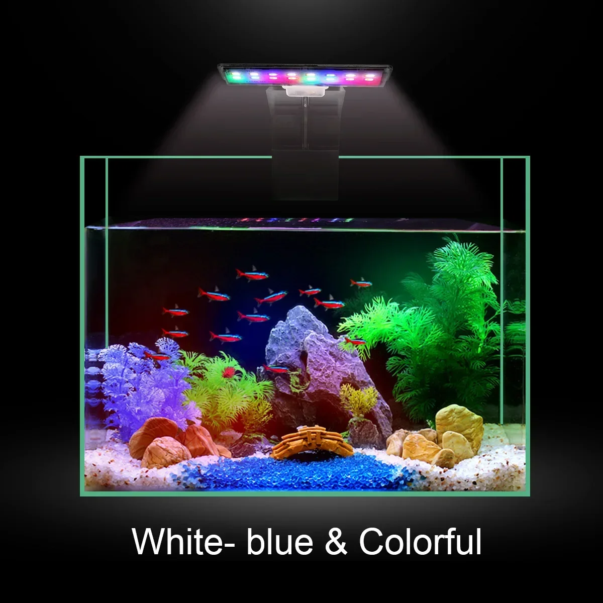 LED Aquarium Light ,Fish Tank Clip Lamp,Full Spectrum Water Plant Grow Light, Muticolor ,3 Modes Light Color for 3 Gal Fish Tank