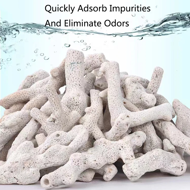 High Quality Natural Reef Coral Bone Aquarium Filter Medium Biological material Coral Sands for PH Steady Fish Tank Filtration