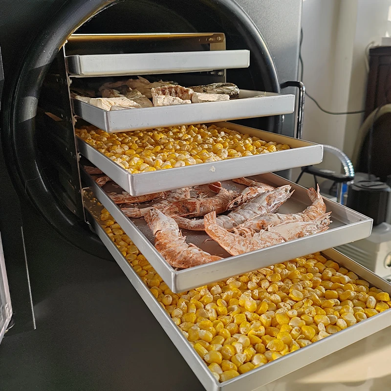 소형 미니 4Kg 6Kg 다섯 트레이 스테인리스 스틸 가정용 냉동 건조기 컴팩트 디자인 저전력 사용이 간편한 신선한 과일 허브용