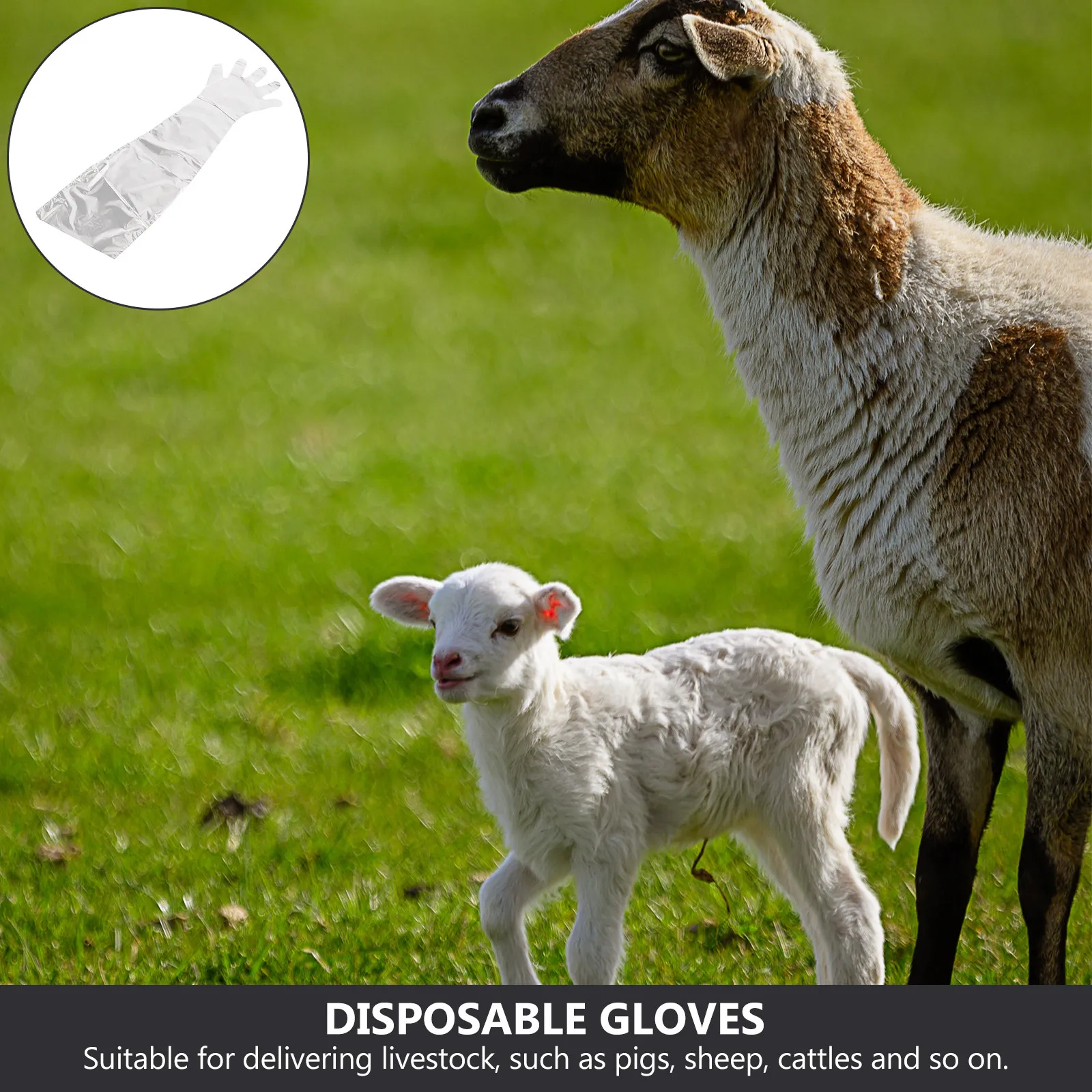 

50Pcs Livestock Delivering Gloves Disposable All Arm Covered Protection for Cattle Sheep Pig Birthing Safe Hygienic Five Finger