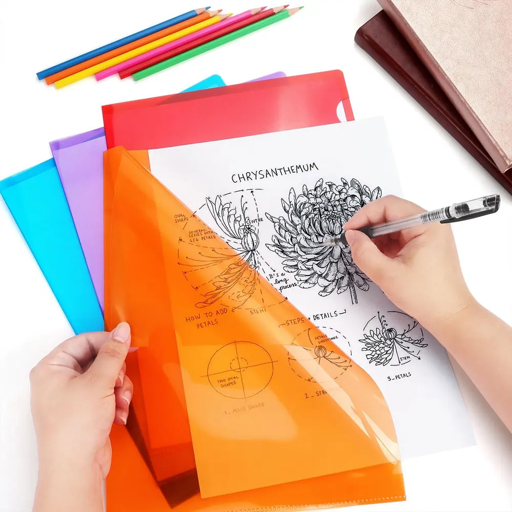 12/18 buah folder plastik berbentuk L, sampul folder warna transparan, 6 warna, ketebalan 18c.