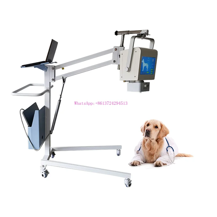 Electric Medical X-ray Equipments VET 5kw 8kw Portable digital x-ray machine Wireless 14*17 FPD