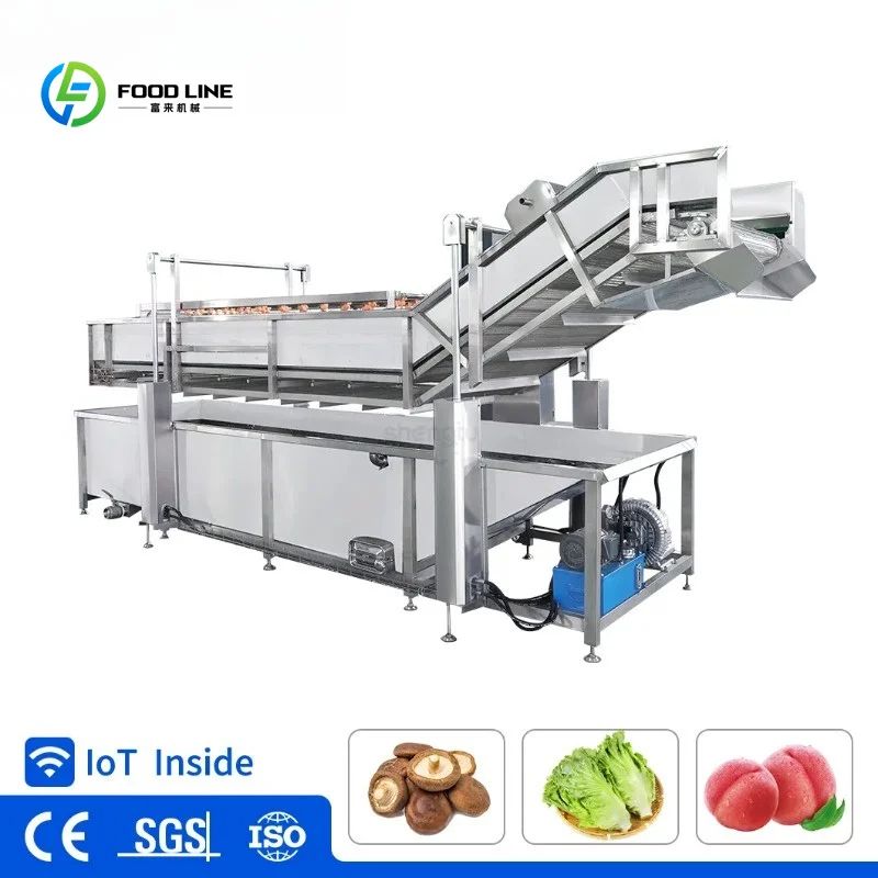 Customized Automatic Multi-Function Washer Mechanical for Meat Vegetables and Fruits