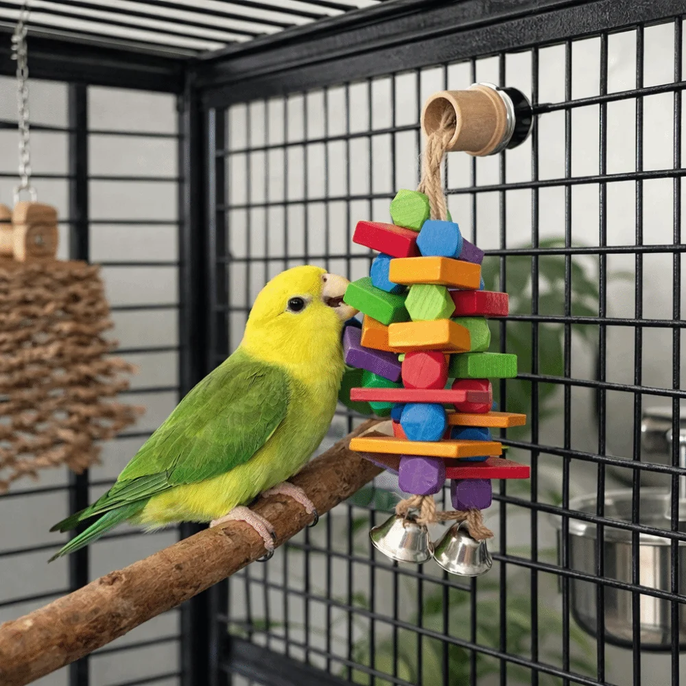 

Multi Colored Parrot Chew Toys Bite Resistant Hanging Rainbow Bite String with Bells Blocks Bird Cage Bite Toys Training