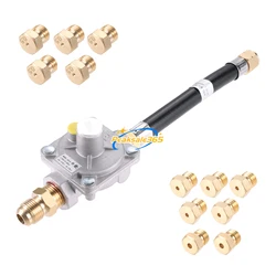 Natural Gas Grill Conversion Propane Interchange Pressure Regulators Valve Orifice Nozzle NG to LP for Weber Genesis/Genesis II