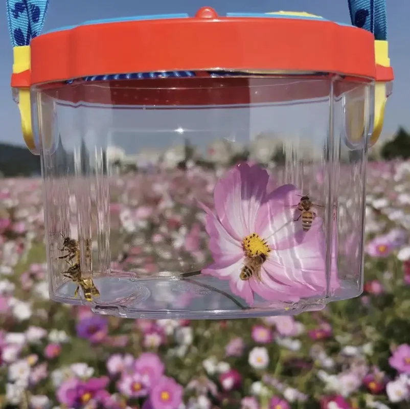Insect Observation Box Transparent collect Outdoor Toy Set Capture Growth Scien Natural Exploration Child Tools Educational Toy