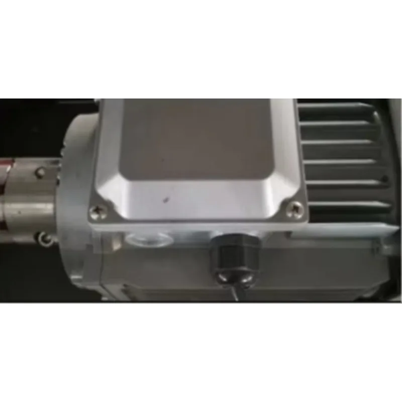Frozen Food Pre-treatment Equipment Fruit Glazing Equipment