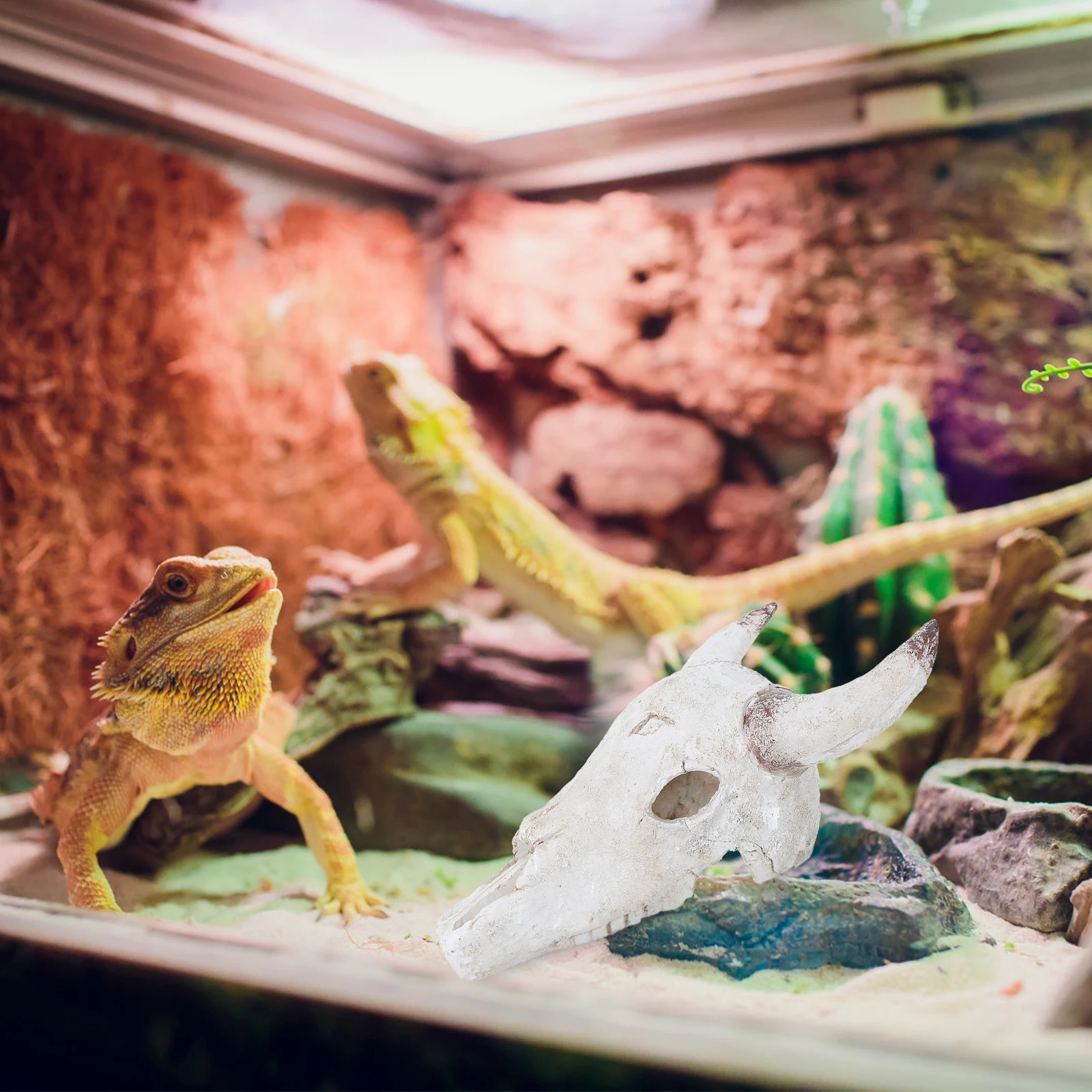 

Multifunctional Reptile Tank Habitat Decor Cattle Skulls Resin Gecko Hideout Enclosure Easy Cleaning User-Friendly Design Desert