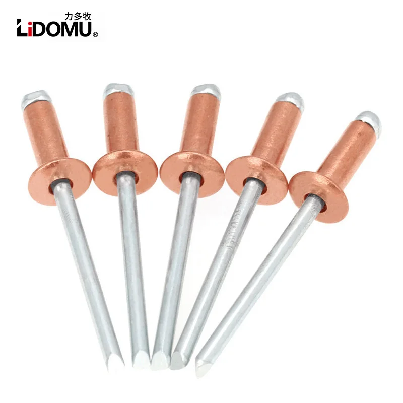 Open Type Copper Blind Rivet, Dome Head, Antiestático Bronze Latão Rebites, 30 Pcs, 50Pcs