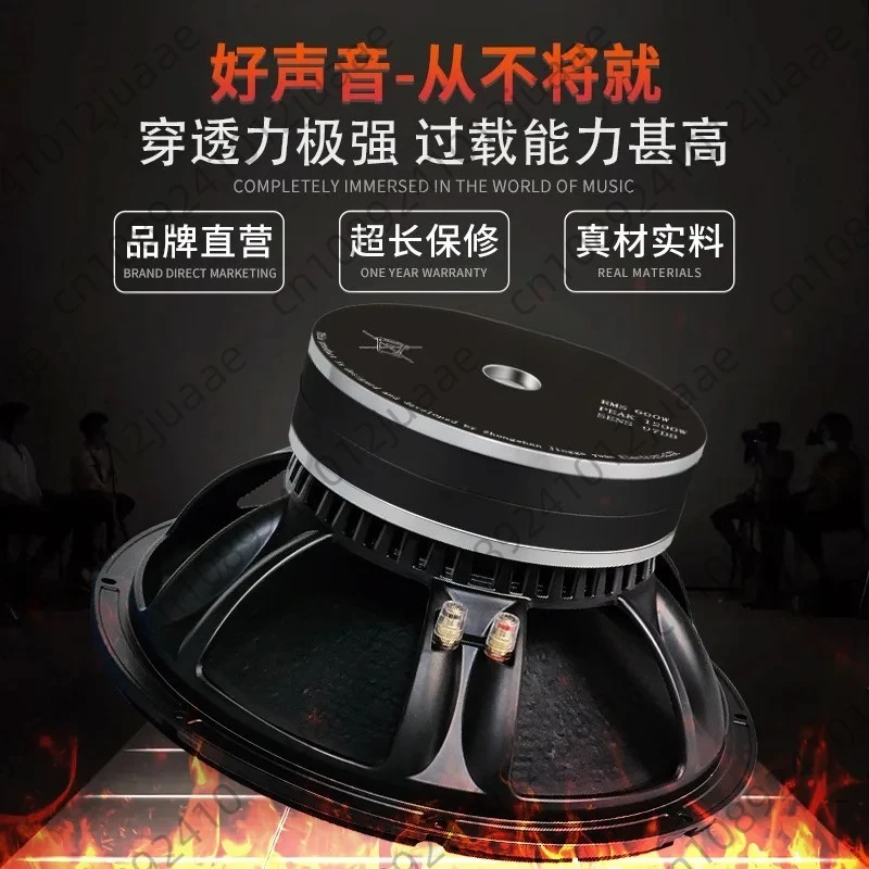 15-inch 1600W High Power Subwoofer for Outdoor Square Dance, Folk Singing & Instrument Amplification, Home Speaker