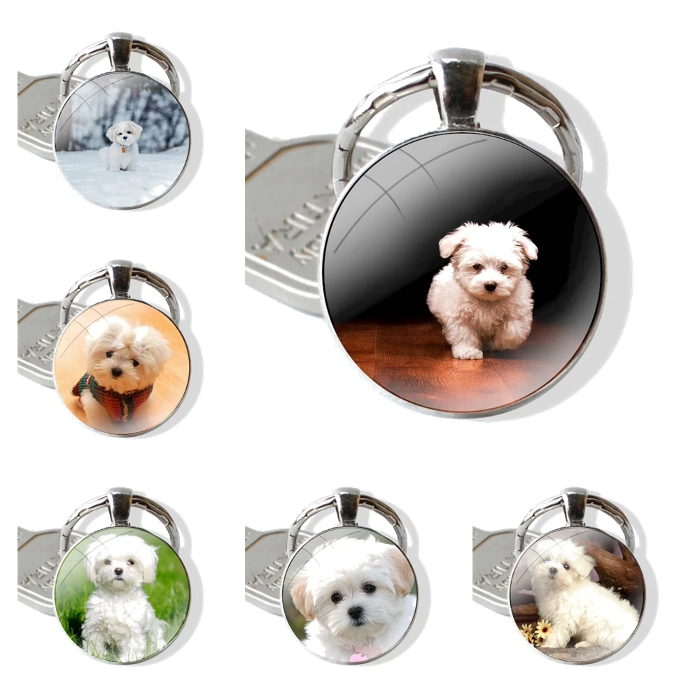 My Maltese Dog 25mm Glass Cabohcon Keychain Key Rings for Women Men Jewelry Gift