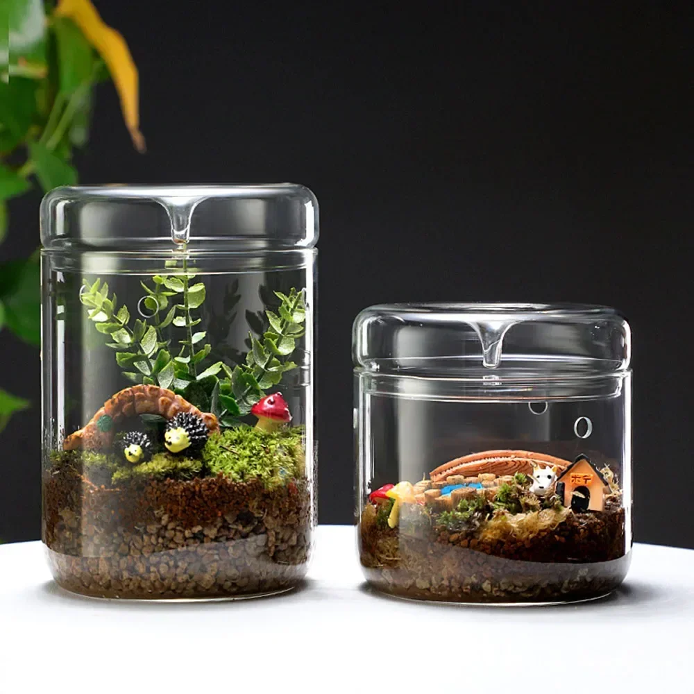 Glass Bottles Transparent Creative Dew Collection Vase Micro Landscape Succulent Moss Bonsai Terrarium Home Decor