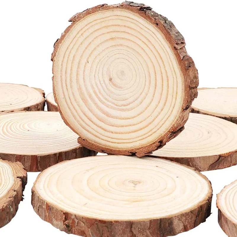 2Pcs Natural Wood Slices 8-10cm Unfinished Round Discs Rustic Wood Circles Craft Tree Slices for DIY Wedding Christmas Ornaments