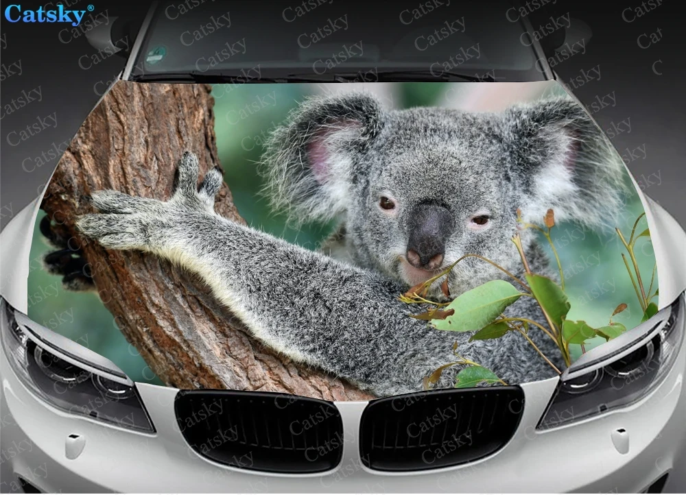 Koalas Climb Trees Car Hood Sticker Painting Self-adhesive Universal Car Accessories Film Modified Hood Protect Decal Decoration