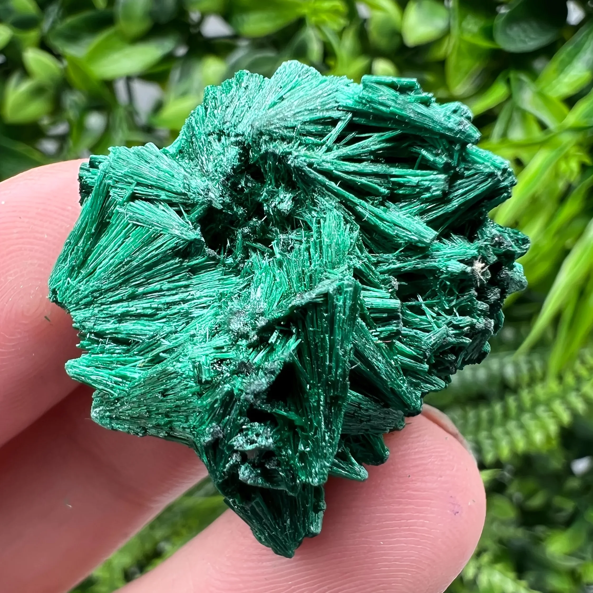 1 Malachite and Chrysocolla Mineral Specimen - Bohemian-style mineral cluster with marbled inclusions, dark green stone