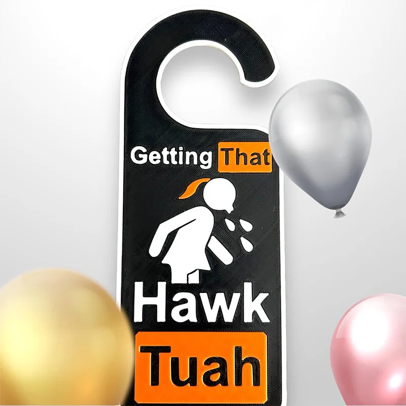 Getting That Hawk Tuah Spit on That Thang Funny Door Handles Don't Disturb Bedroom Standard Decorative Gifts Door Handle Hook