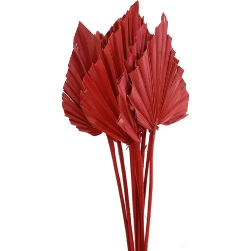 Palm Palm Spear Red 10 Branch