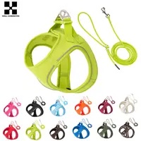 Conjunto de Arnés y Correa para Perros Pequeños y Medianos, Arnés Ajustable y Reflectante para Cachorros y Gatos, Chaleco para Mascotas, Chihuahua, Dachshund, Paseos al Aire Libre