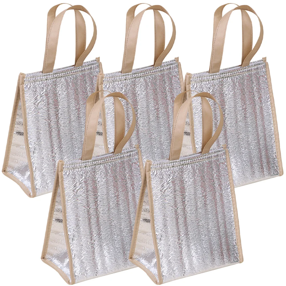 

5 Pcs Insulated Refrigerated Bag Disposable Bags Thermal Insulation Large Capacity Lunch Pearl Cotton Aluminum Foil Bbq Travel