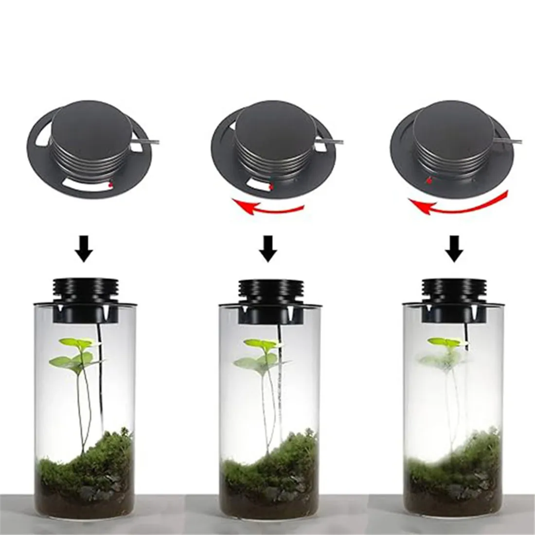 Imagem -05 - Lâmpada de Cultivo de Plantas de Terrário Usb Regulável com Temporizador para Vasos Crescimento de Plantas Internas Suculentas Paisagem de Jardinagem em Miniatura