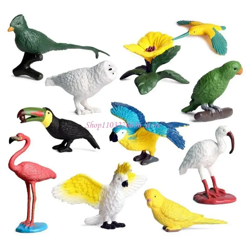 R6FD Kids Trick Toy Plastic Made Realistic Bird Figurines Creative for Age 6+ Kid
