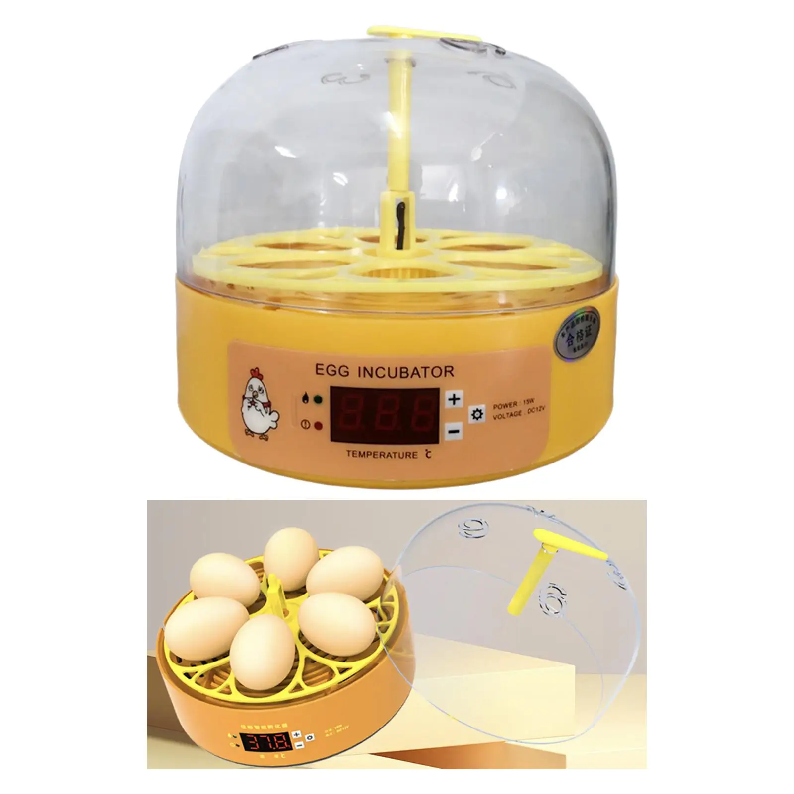 Mini Eggs Incubator Automatic Egg Turner Egg Incubator Breeder for Chicken Birds