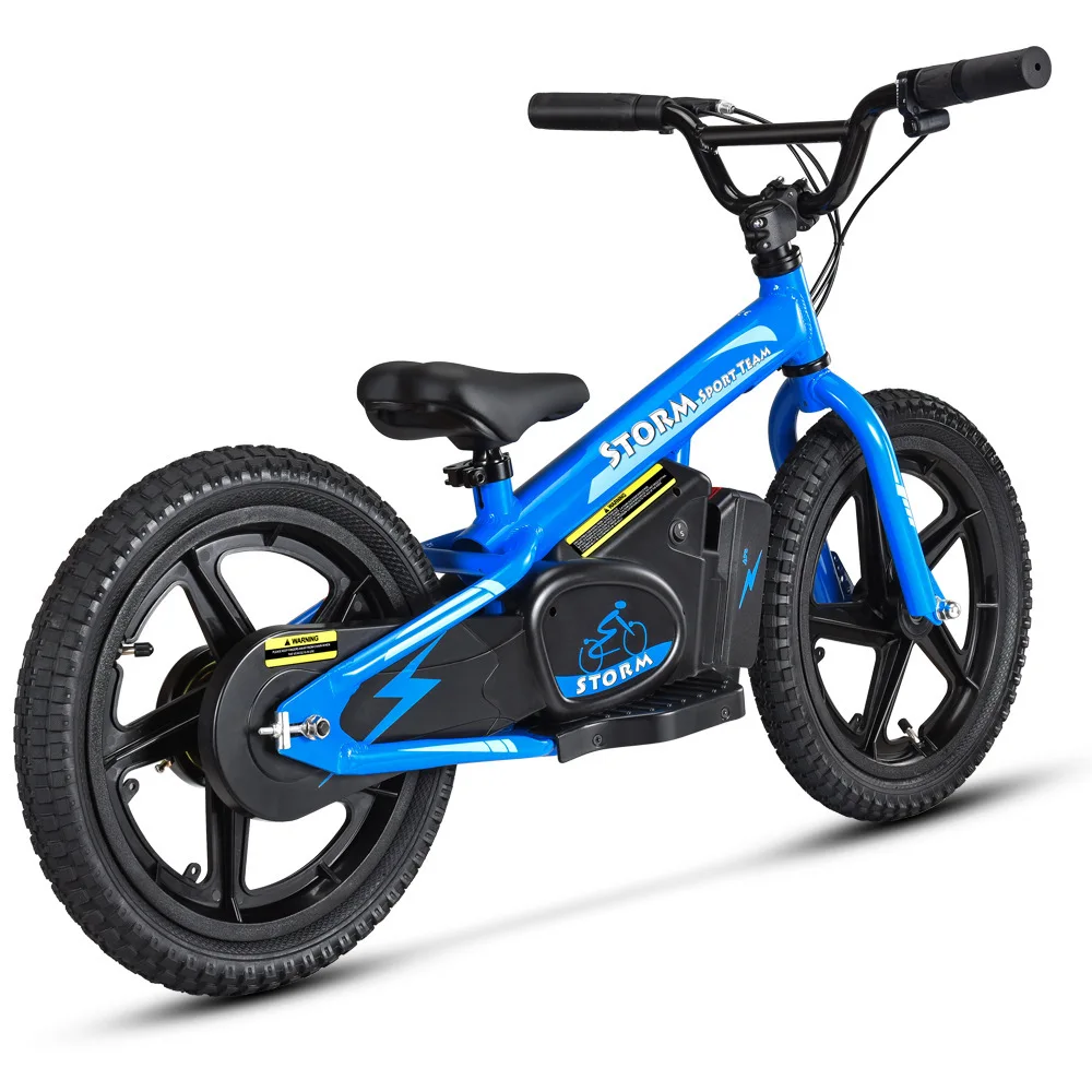 Factory Manufacture 16 -inch Children's Balanced Vehicle Children's Electric Bicycle 250W Children's Cycling