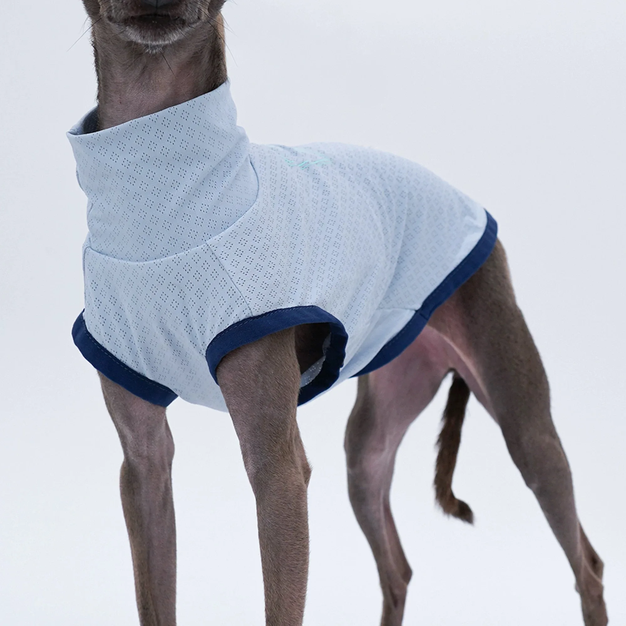 Chaleco refrescante verano para Galgo Italiano y Whippet – Transpirable - imagen 3