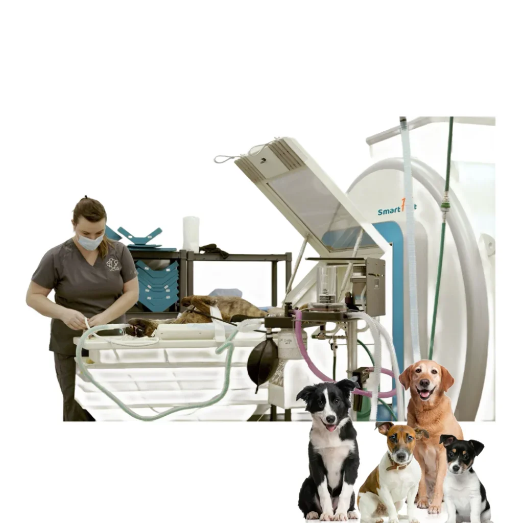 Smart F Vet Veterinary Instrument Medical Tomography Computed 1.5T MRI Digital Scan Imaging System