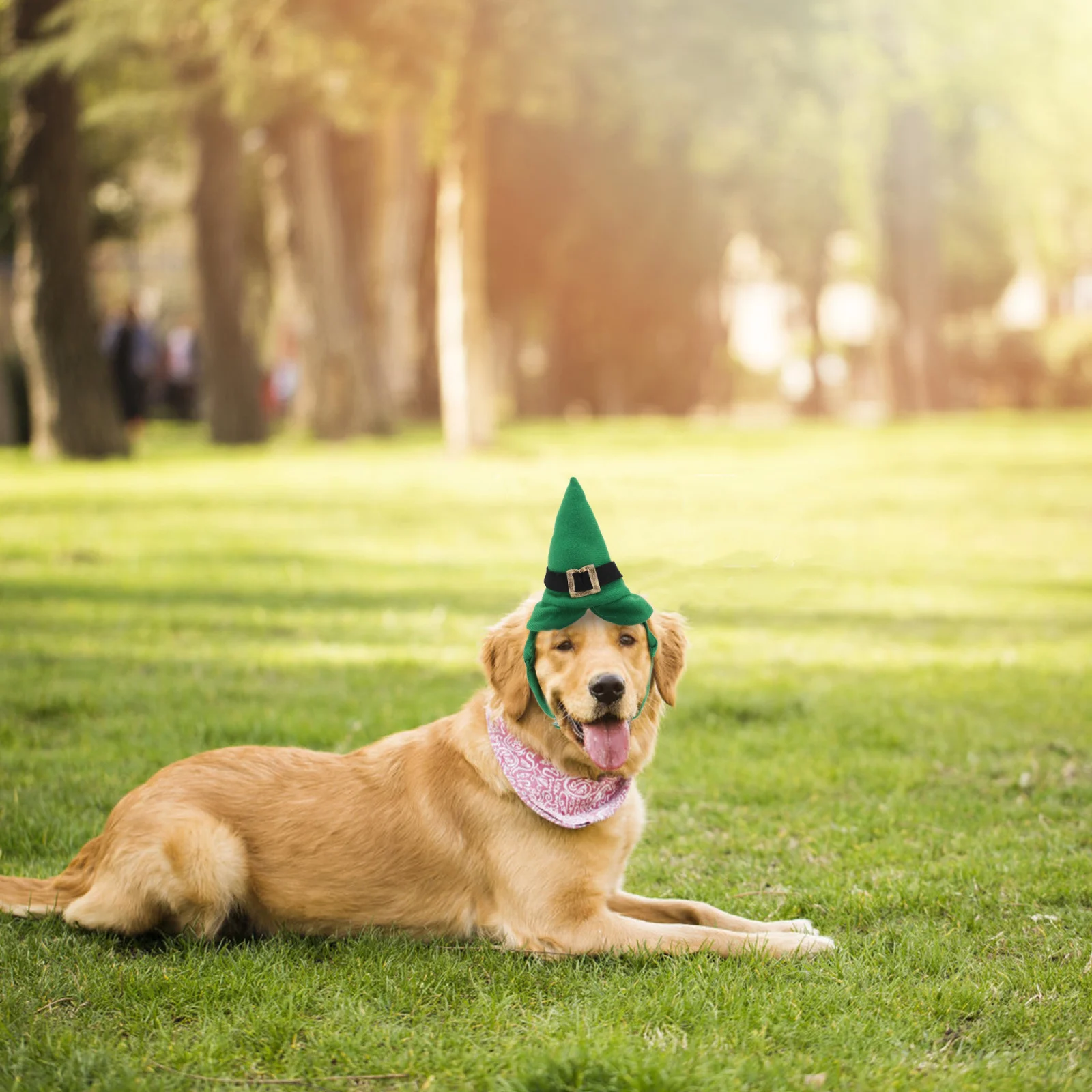 

Pet Party Hat Green Adjustable Cat Cosplay Cap Dog Costume Accessory For Halloween Christmas Wedding Photo St Patricks Day