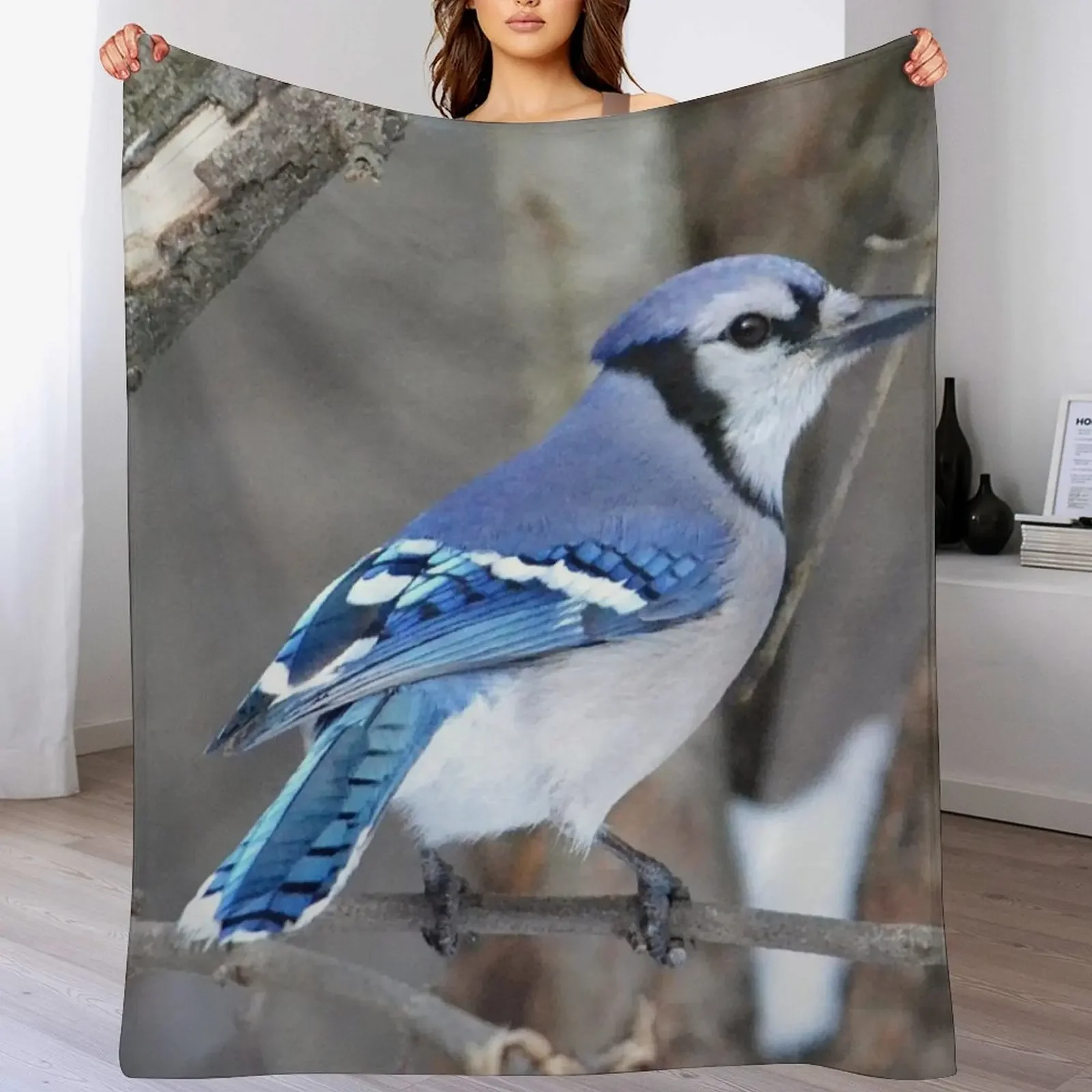 Blue Jay On A Branc… - image