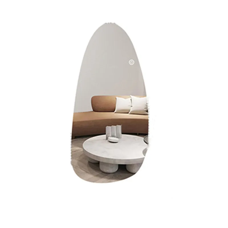 

Light luxury full body Internet celebrity special-shaped full-length mirror led light intelligent simple wall hanging art