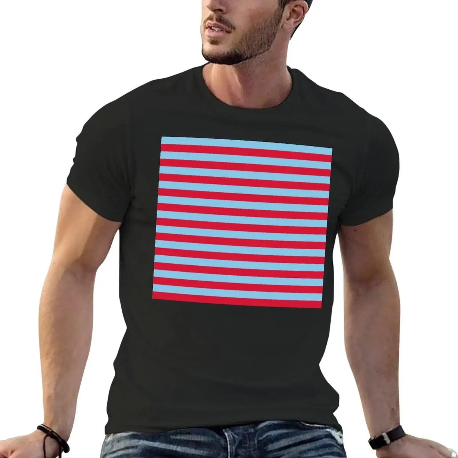 Small RED and BABY BLUE Horizontal STRIPES T-Shirt heavyweights anime figures graphic tee shirt oversizeds mens tall t shirts