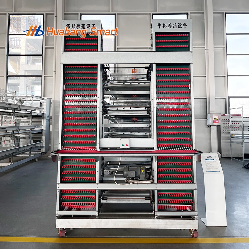 

Commercial Layer Cage with Hot Dip Galvanized Construction and Automatic Systems for Industrial Egg Production