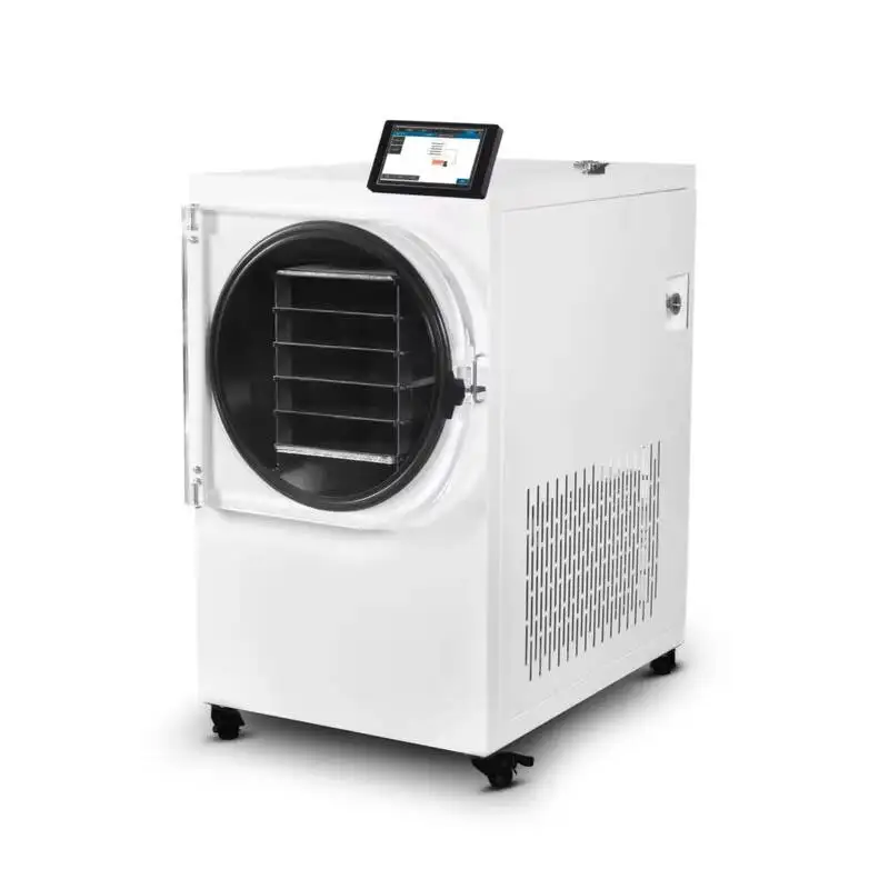 

Новая модель 2025 года: бытовая сублимационная сушилка SJ-08H (8-12 кг) для фруктов, авокадо, коммерческая сушильная машина для кордицепса и жидких продуктов