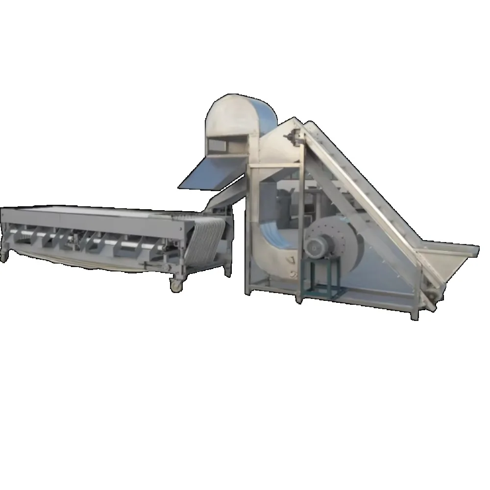 Fruit Grader Machine Fruit Grading Machine Equipment for Fig Fruit Packing House Operation