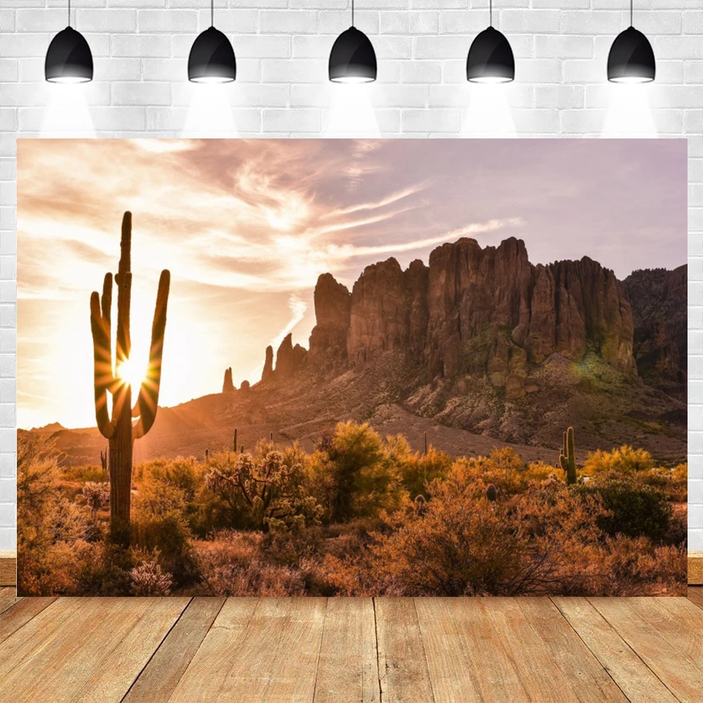 Desert Joshua Tree National Park Photography Backdrop Odd Trees Rocky Mountains Natural Scenery Hiking Camping Photo Background